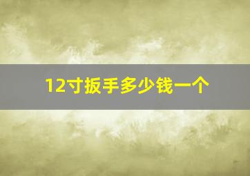 12寸扳手多少钱一个