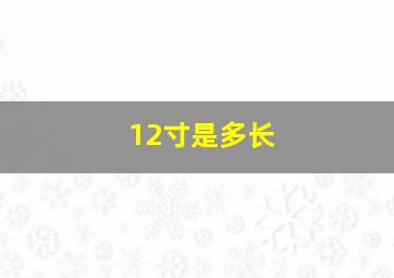 12寸是多长