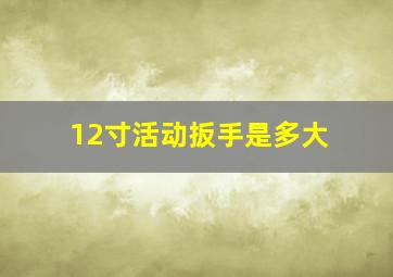 12寸活动扳手是多大