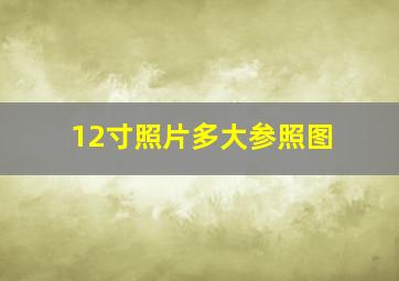 12寸照片多大参照图