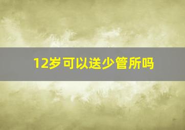 12岁可以送少管所吗