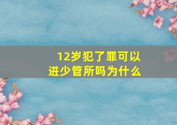 12岁犯了罪可以进少管所吗为什么