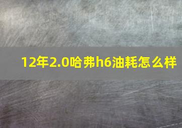 12年2.0哈弗h6油耗怎么样