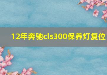 12年奔驰cls300保养灯复位