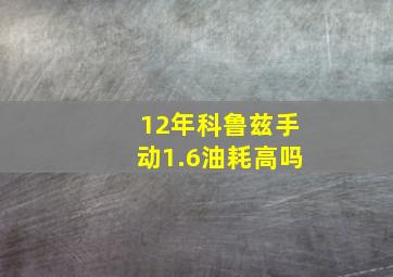 12年科鲁兹手动1.6油耗高吗