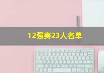 12强赛23人名单