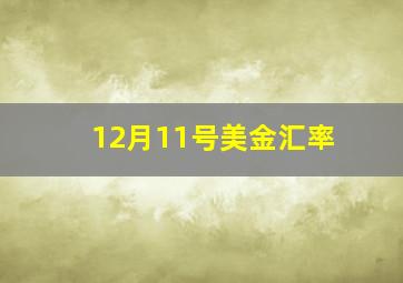 12月11号美金汇率