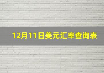 12月11日美元汇率查询表