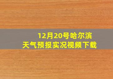 12月20号哈尔滨天气预报实况视频下载