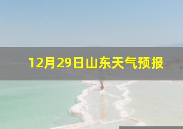 12月29日山东天气预报