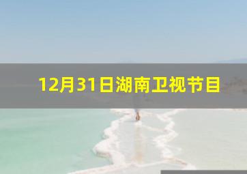 12月31日湖南卫视节目