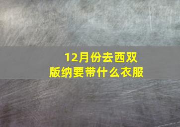 12月份去西双版纳要带什么衣服