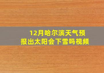 12月哈尔滨天气预报出太阳会下雪吗视频