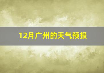 12月广州的天气预报