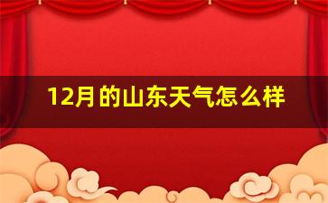 12月的山东天气怎么样