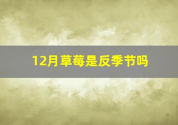 12月草莓是反季节吗