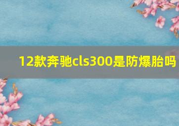 12款奔驰cls300是防爆胎吗