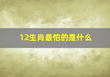 12生肖最怕的是什么