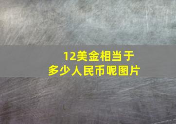 12美金相当于多少人民币呢图片