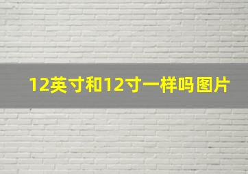 12英寸和12寸一样吗图片