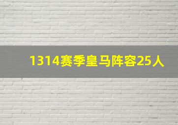 1314赛季皇马阵容25人