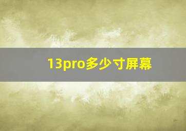 13pro多少寸屏幕