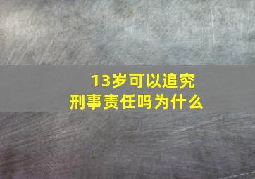 13岁可以追究刑事责任吗为什么