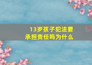 13岁孩子犯法要承担责任吗为什么