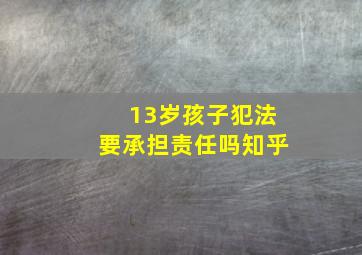 13岁孩子犯法要承担责任吗知乎