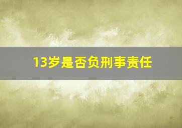 13岁是否负刑事责任