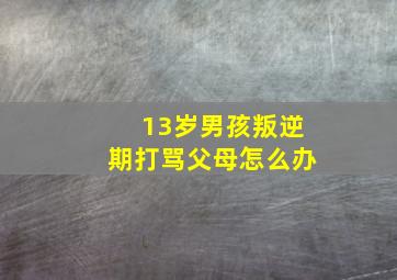 13岁男孩叛逆期打骂父母怎么办