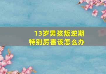 13岁男孩叛逆期特别厉害该怎么办