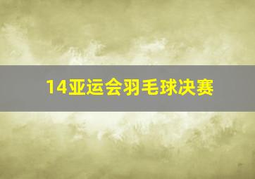 14亚运会羽毛球决赛