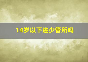 14岁以下进少管所吗