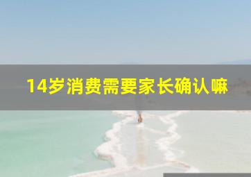 14岁消费需要家长确认嘛