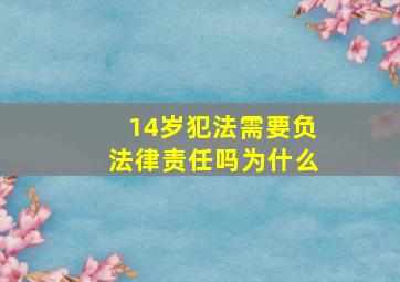 14岁犯法需要负法律责任吗为什么