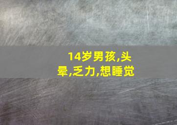 14岁男孩,头晕,乏力,想睡觉