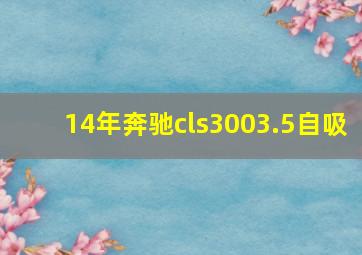 14年奔驰cls3003.5自吸