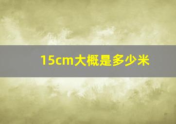 15cm大概是多少米