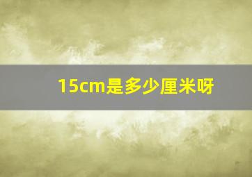 15cm是多少厘米呀