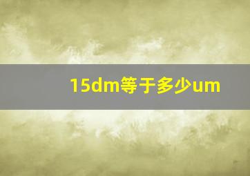 15dm等于多少um