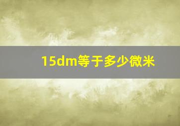 15dm等于多少微米