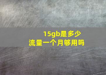 15gb是多少流量一个月够用吗