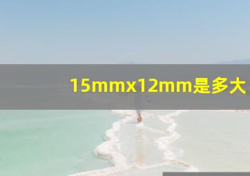 15mmx12mm是多大