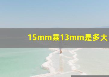 15mm乘13mm是多大