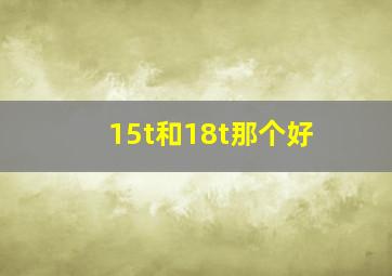 15t和18t那个好