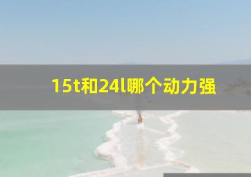 15t和24l哪个动力强