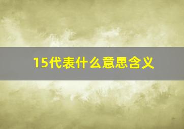 15代表什么意思含义