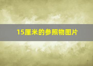 15厘米的参照物图片