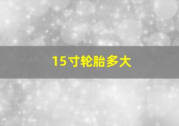 15寸轮胎多大